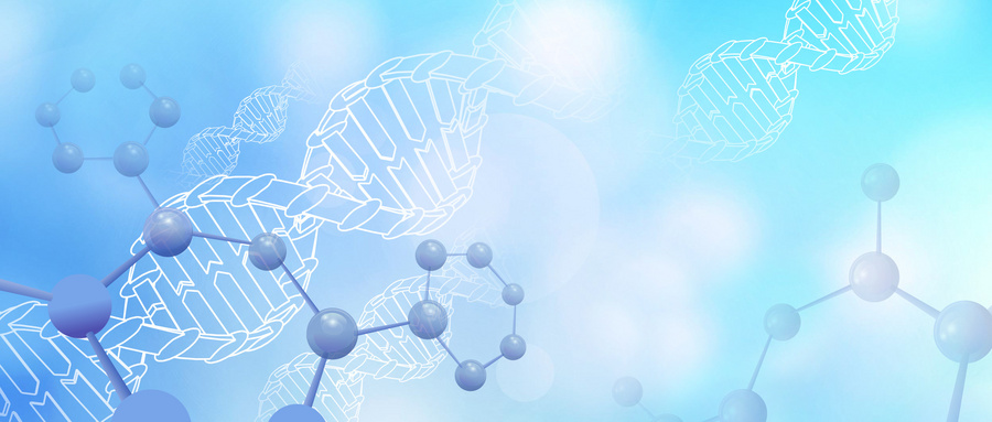 透明质酸具有良好的生物相容性和生物活性