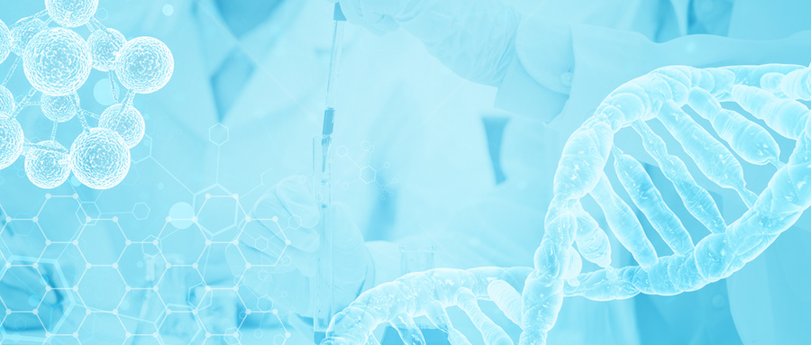 过氧化物酶体增殖物激活受体γ在股骨头坏死中的作用研究