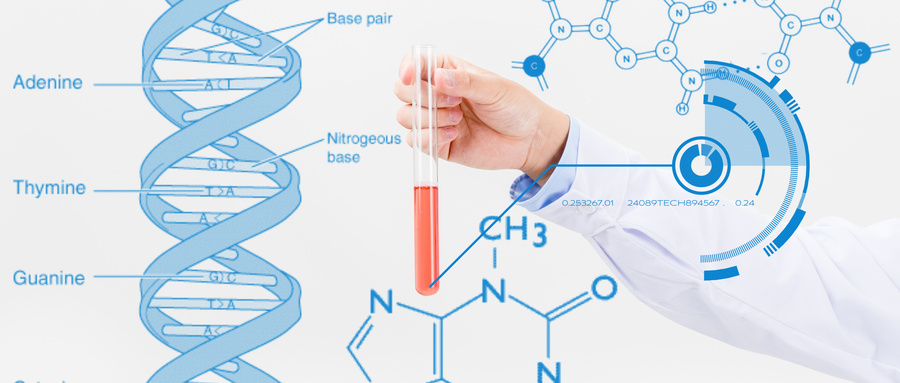 高压氧疗法促进脊髓神经再生的分子机制研究