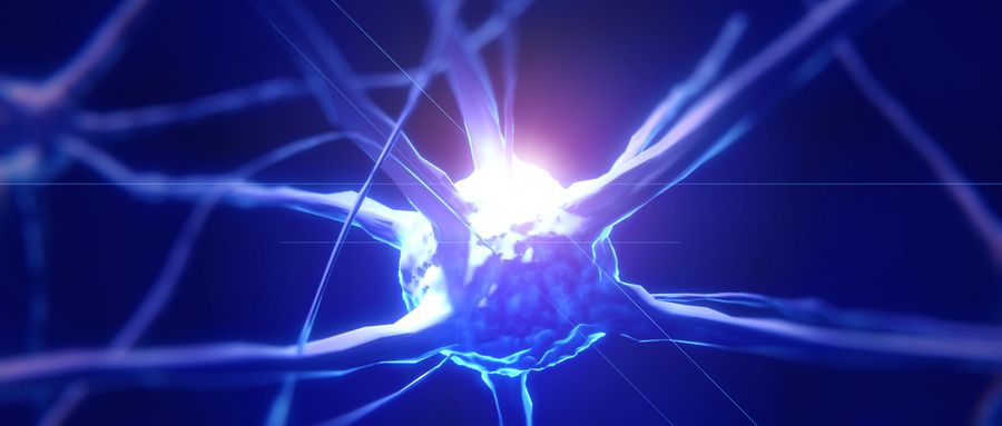 外泌体介导的针灸信号传导网络研究