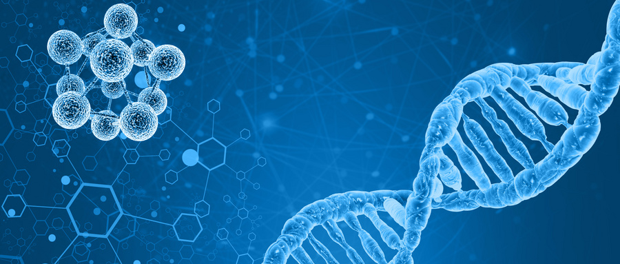 外泌体生物学特性及其细胞间通讯机制