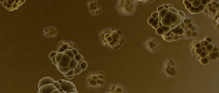 基于离子释放策略的无机生物材料心肌修复新方法
