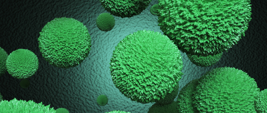 ALDH1A1在乳腺癌干细胞中的关键调控机制