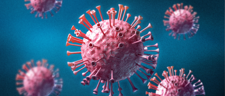 PI3K/AKT信号通路的分子结构与进化保守性
