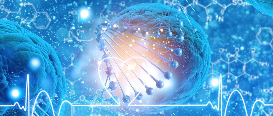 人脱落乳牙牙髓干细胞分泌组的再生医学优势