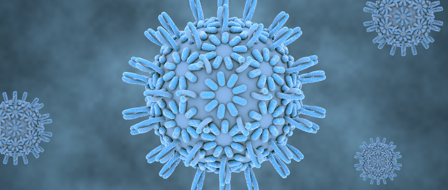 牙髓干细胞条件培养基促进脊髓损伤后神经功能修复的机制