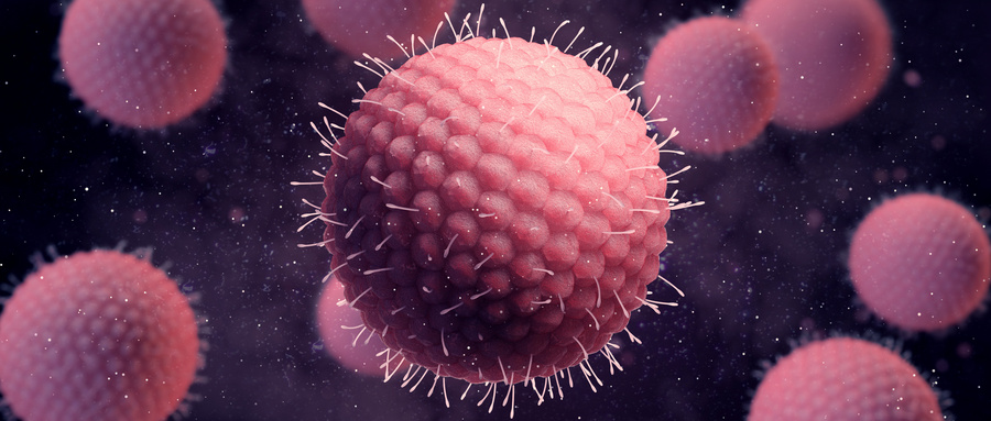 细胞外囊泡的生物学特性与功能