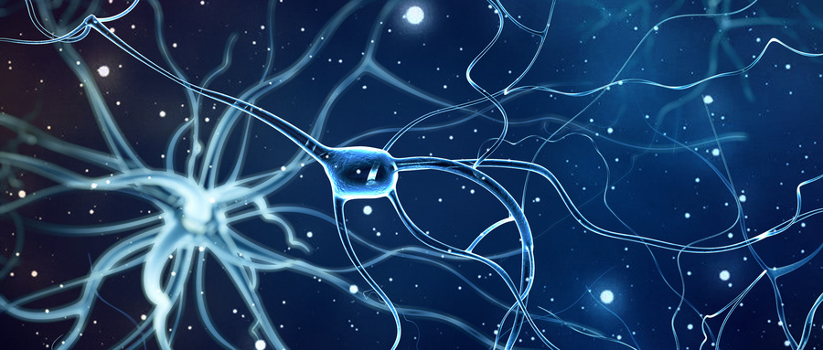 非编码RNA在软骨稳态维持中的研究进展