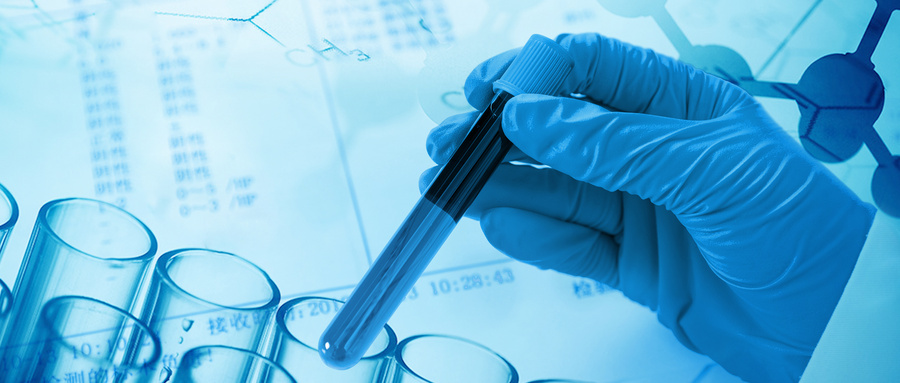 EPO在骨折愈合中的双重作用机制研究