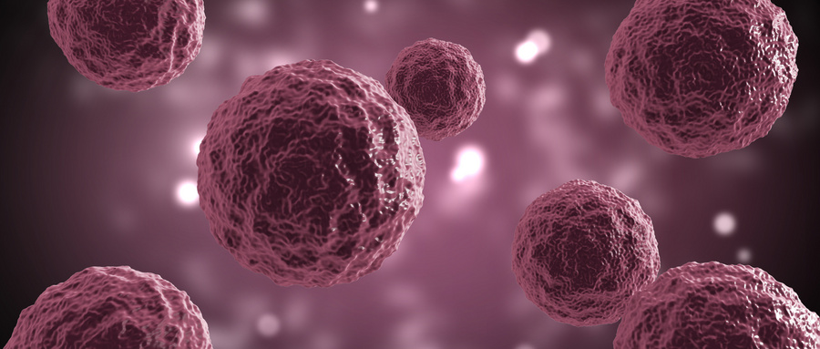 心脏类器官血管化技术的发展历程与突破 心脏类器官血管化技术的发展历程与突破