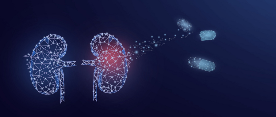 类器官技术工具与建模方法研究进展