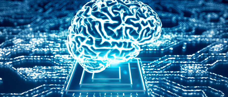 类器官在药物研发与精准医疗中的创新价值