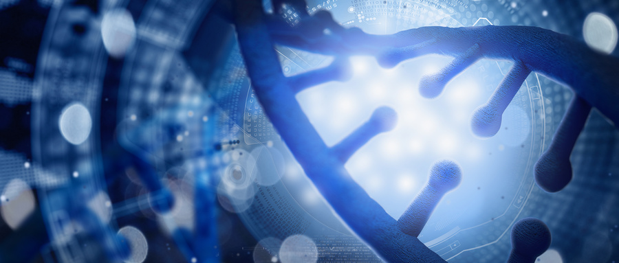 衰老标志物研究的最新进展与理论框架