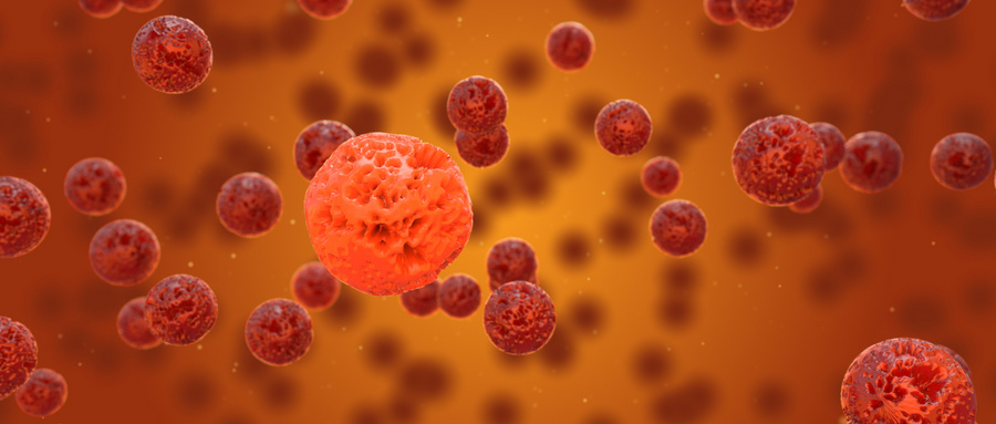 线粒体靶向抗氧化剂在抗肺衰老治疗中的应用