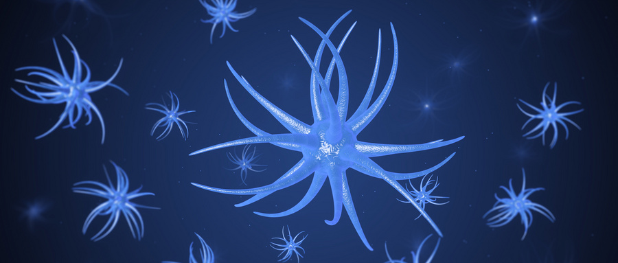 CAR-NK细胞联合小分子抑制剂的协同抗肿瘤机制