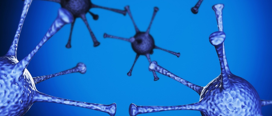 IFN-γ激活MSCs的生物标志物分析