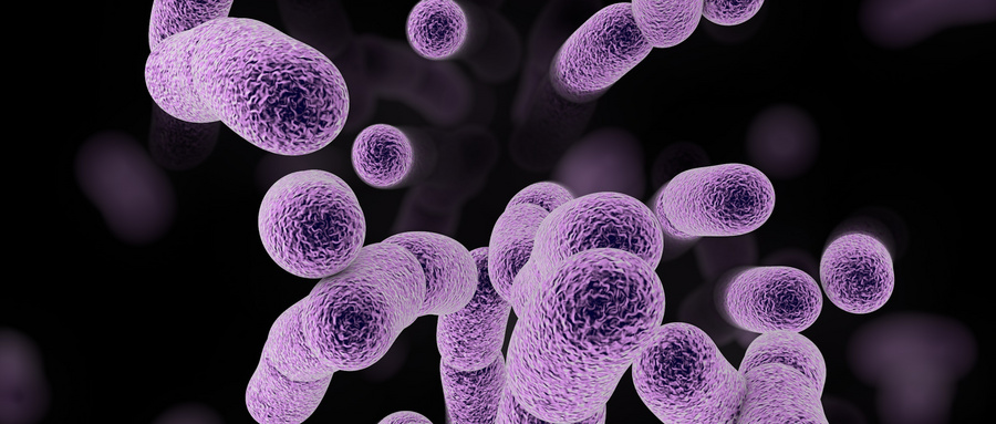 问：什么是BMP-2/Smad信号通路？