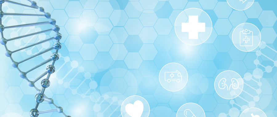 BMP信号通路对肠道干细胞分化的调控机制