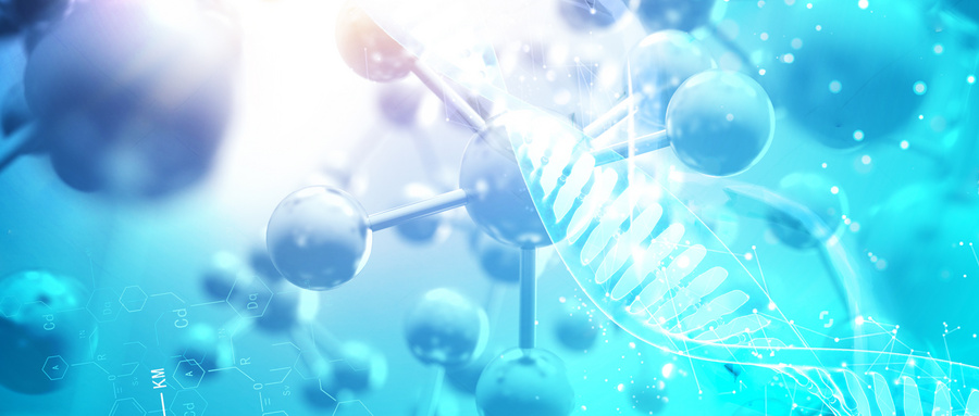 肠道共生微生物对ISCs功能的调控作用