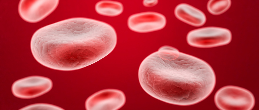 慢性肢体威胁性缺血的病理机制与治疗挑战