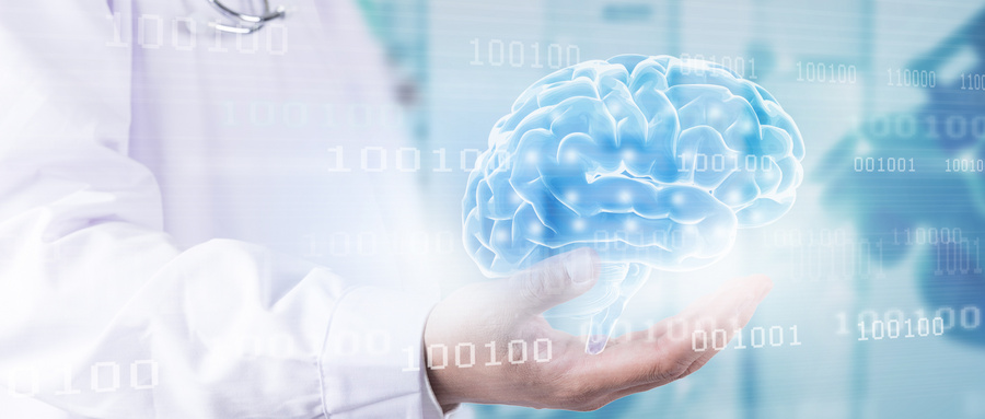 MEN1综合征中Menin突变对骨代谢的影响机制