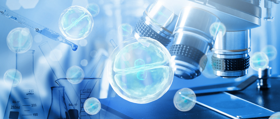 MSCs在肿瘤进展中的促癌作用机制