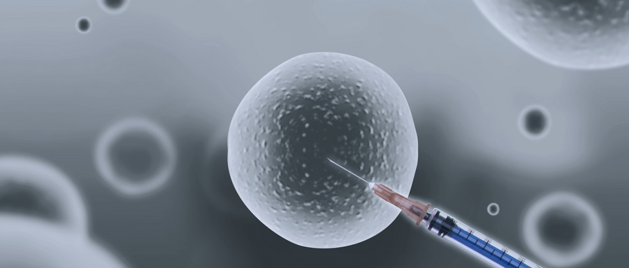 亨廷顿病动物模型的局限性与研究进展