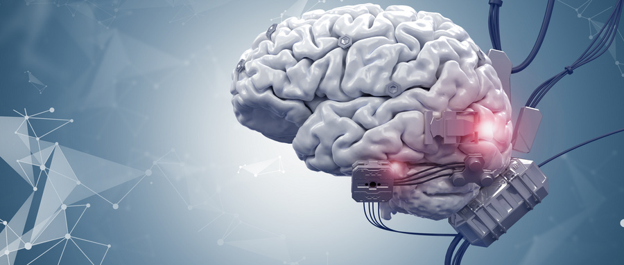 人脑类器官模型在神经退行性疾病研究中的突破