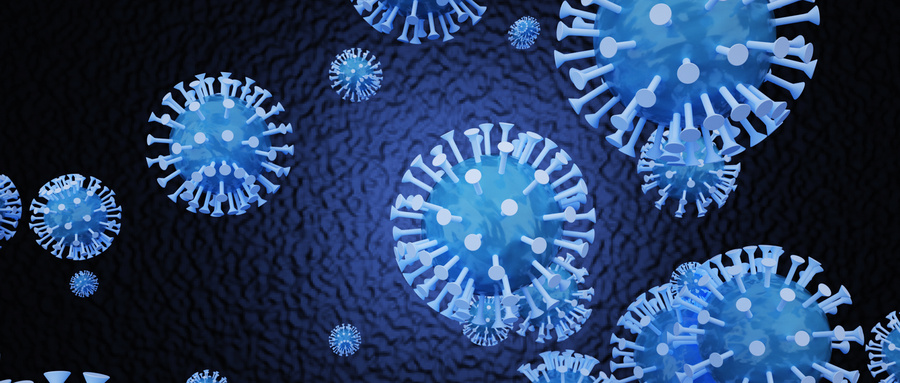 亨廷顿病神经环路紊乱的类组装体模型研究