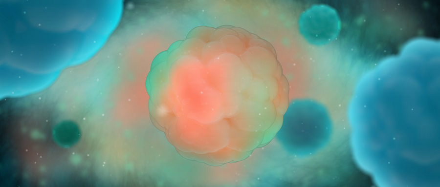 干细胞分类及其生物学特性研究