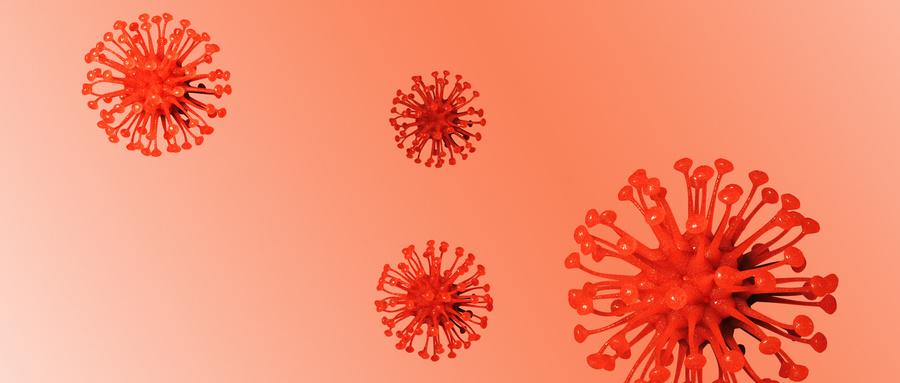 BMSCs旁分泌机制在糖尿病肾病治疗中的研究进展