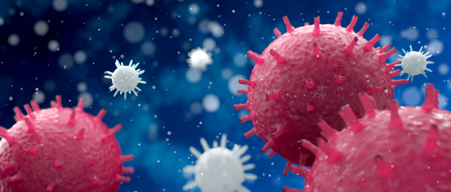 问：什么是骨桥素？