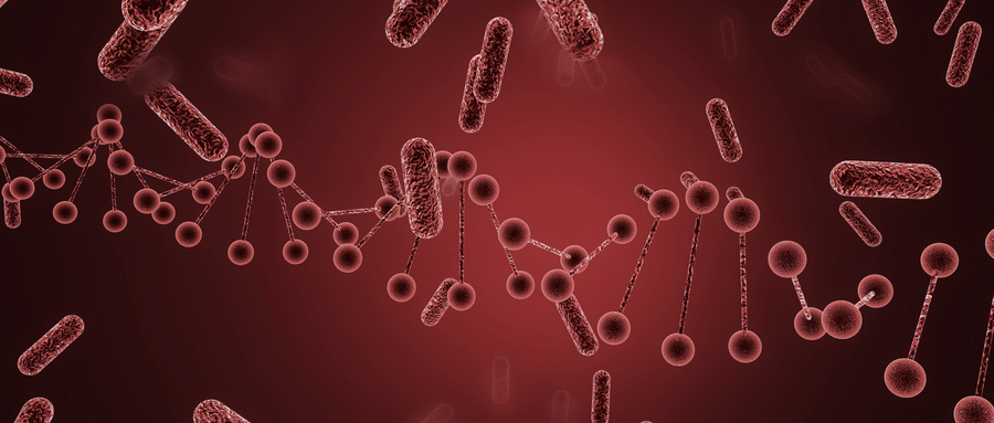 上皮-间质转化在血管拟态中的核心作用