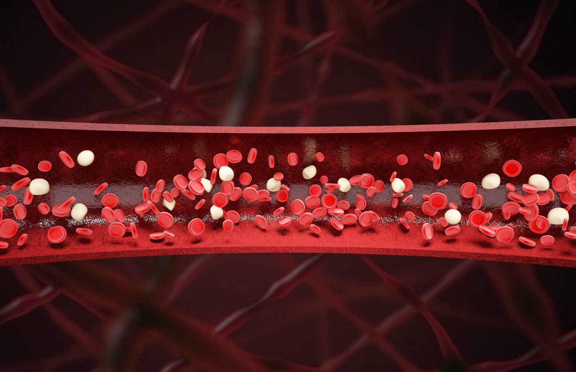 肿瘤微环境中CAFs对血管拟态的调控作用