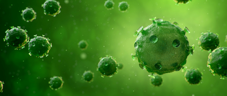 骨髓间充质干细胞命运决定的关键机制