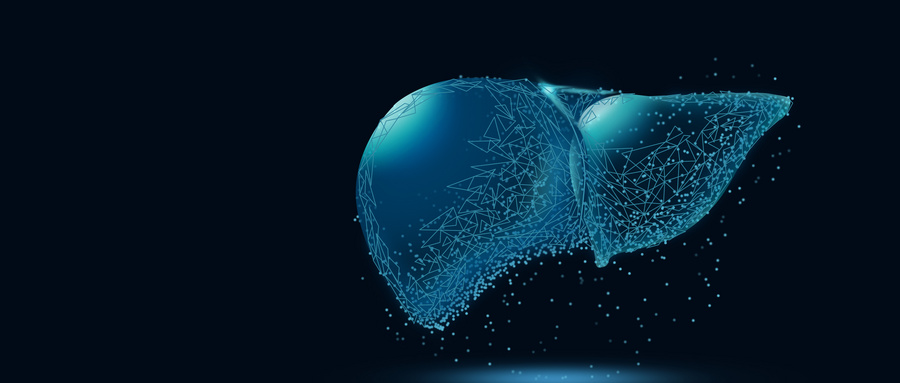 天然与合成水凝胶支架材料在类器官培养中的应用