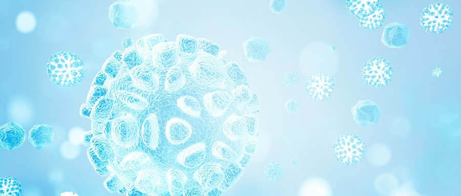 铁死亡在脊髓损伤神经再生中的调控机制