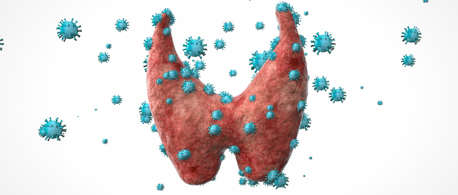 人肾类器官在药代动力学与疾病模型研究中的应用