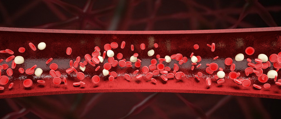 红细胞指标与骨质疏松症的临床关联性研究