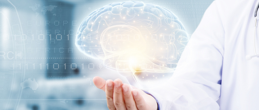 外泌体非编码RNA在脂肪代谢调控中的研究进展