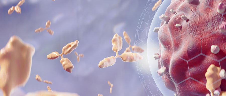 问：什么是DCLK1？