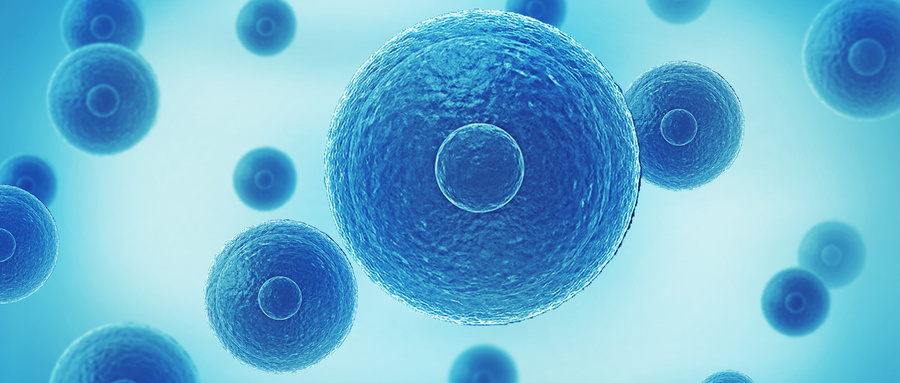 问：外泌体的生物学基础是什么？