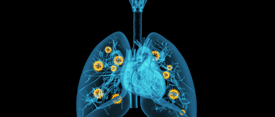 工程化外泌体在骨质疏松治疗中的创新应用