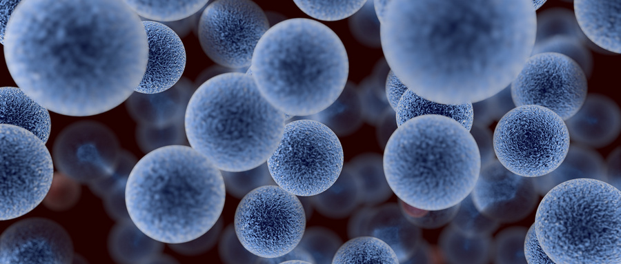 硒纳米复合骨移植材料的创新研发与应用