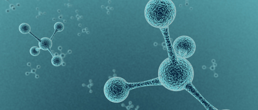 脑卒中恢复期血管新生的针刺促进作用